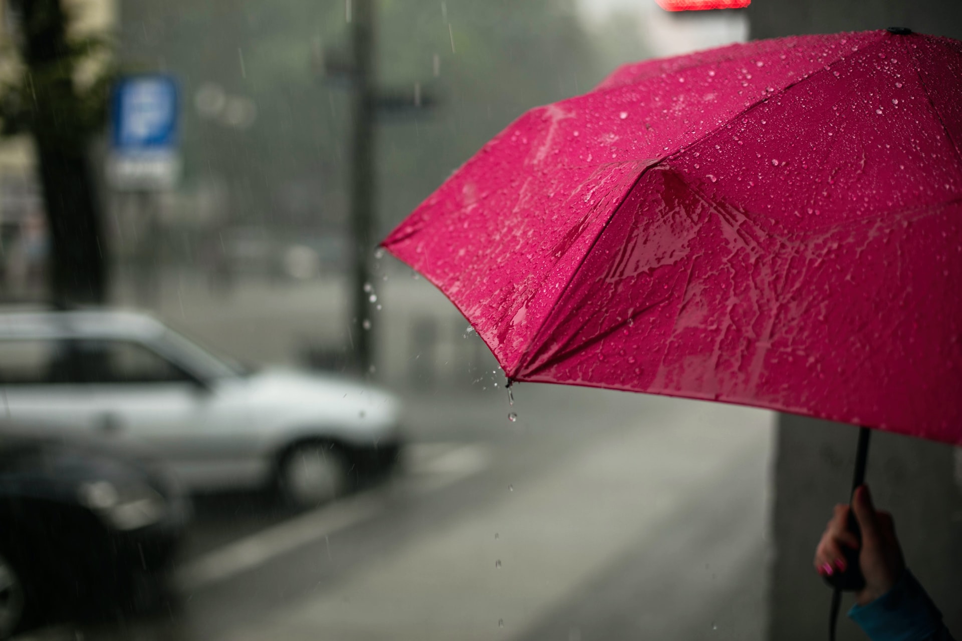 雨の中の傘